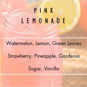 💖🍋 Pink Lemonade Freshie 💖🍋